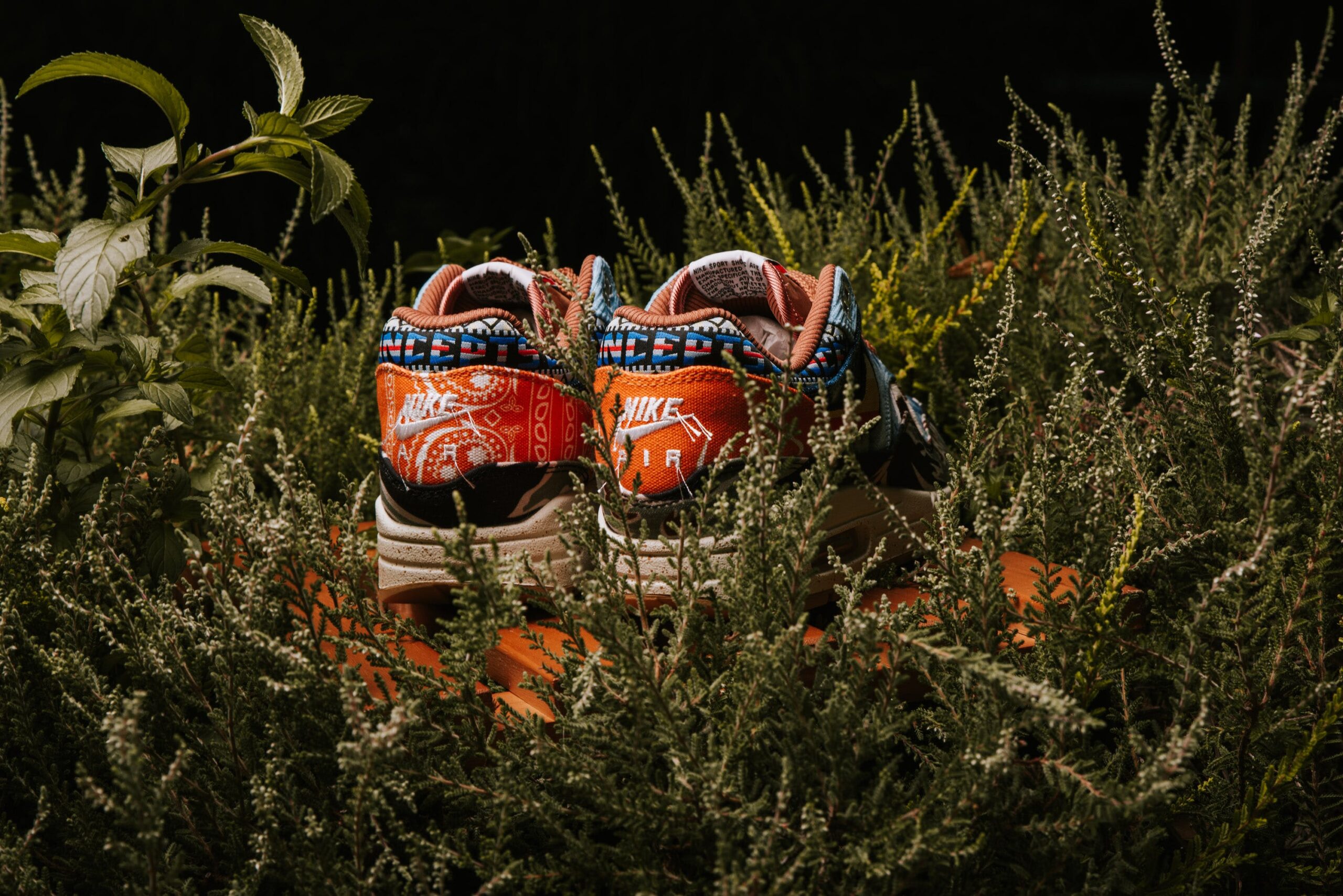 shoe collection